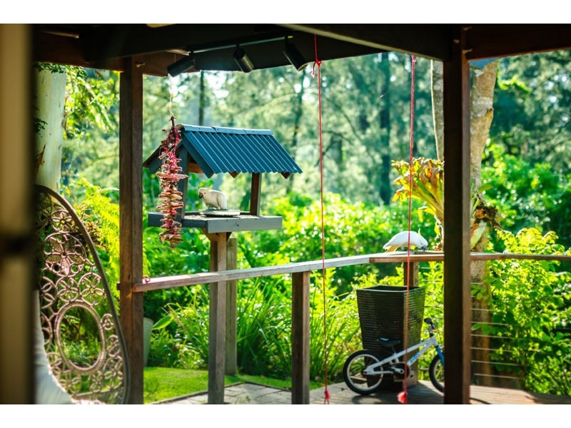 469 Kalang Road, Bellingen NSW 2454