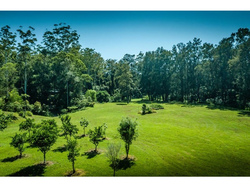469 Kalang Road, Bellingen NSW 2454