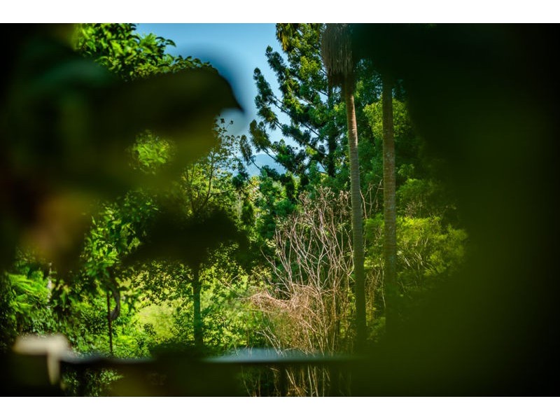 5 Dillon Close, Bellingen NSW 2454