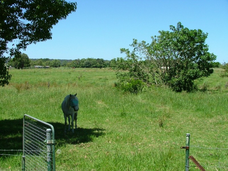 20 Queen Street Raleigh, Bellingen NSW 2454