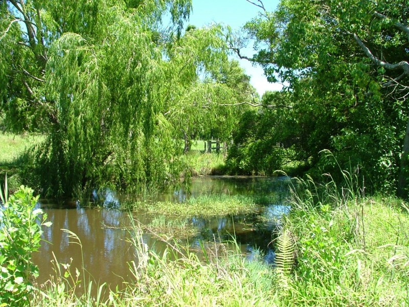 20 Queen Street Raleigh, Bellingen NSW 2454