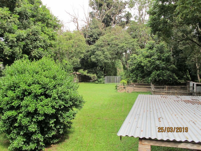 20 Dowle Street, Bellingen NSW 2454
