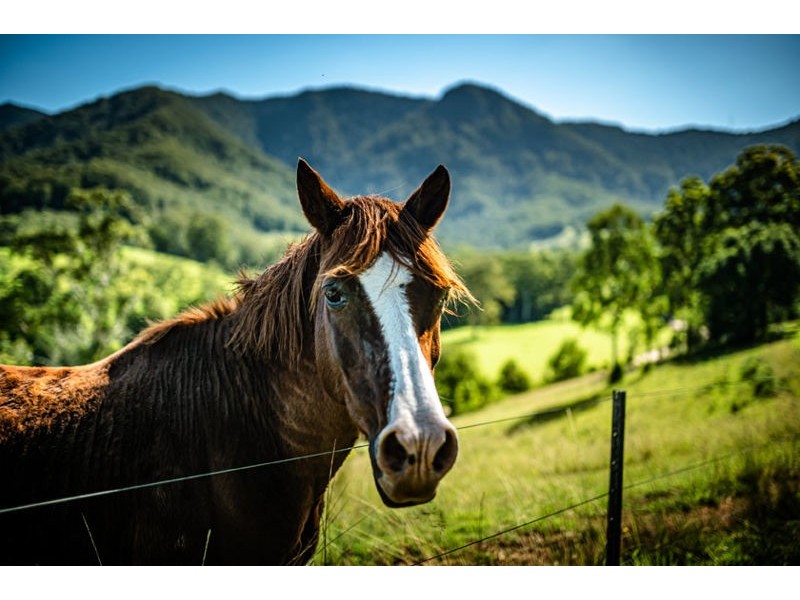 302 Promised Land Road, Gleniffer NSW 2454