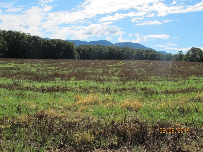 555 Hydes Creek Road, Bellingen NSW 2454