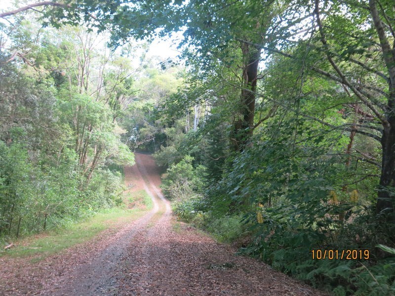 138 Promised Land Road, Gleniffer NSW 2454