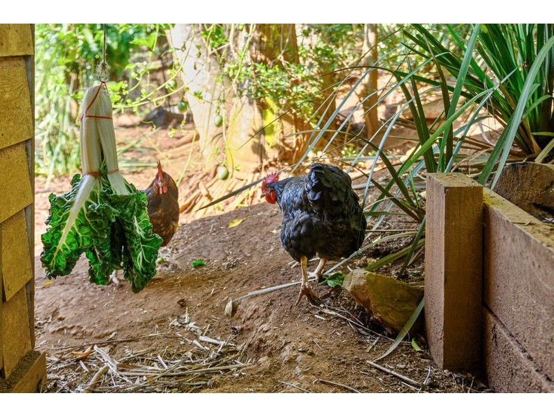 26 Elliot Close, Bellingen NSW 2454