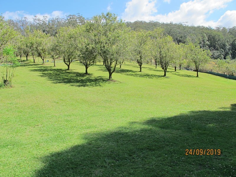 2196 Darkwood Road, Bellingen NSW 2454