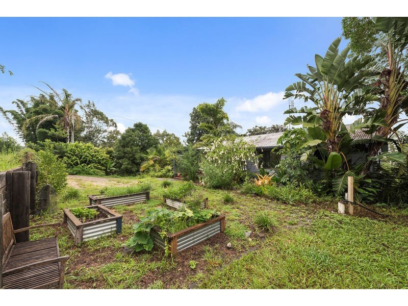 16 Rigney Road, Bellingen NSW 2454