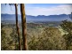 2 Pulsford Place, Bellingen NSW 2454