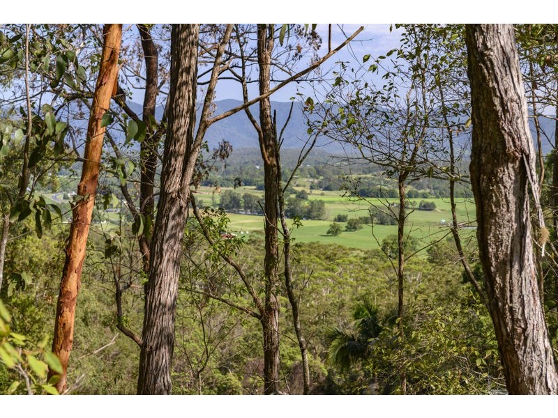 2 Pulsford Place, Bellingen NSW 2454