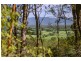2 Pulsford Place, Bellingen NSW 2454
