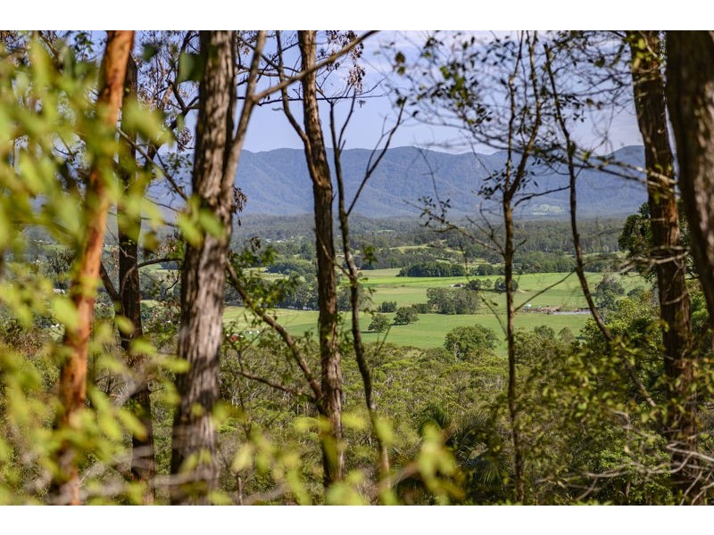 2 Pulsford Place, Bellingen NSW 2454