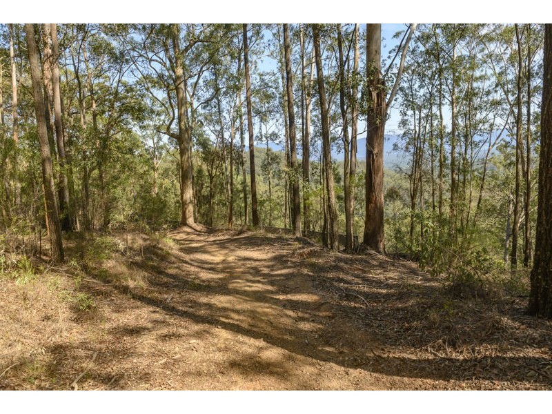 2 Pulsford Place, Bellingen NSW 2454