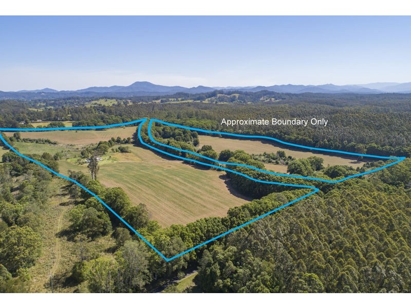 555 Hydes Creek Road, Bellingen NSW 2454