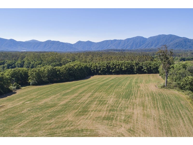 555 Hydes Creek Road, Bellingen NSW 2454