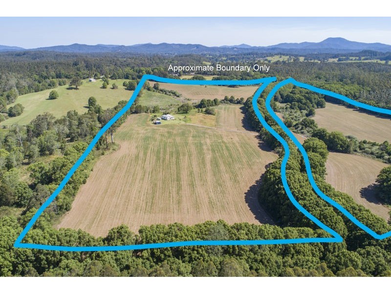 555 Hydes Creek Road, Bellingen NSW 2454