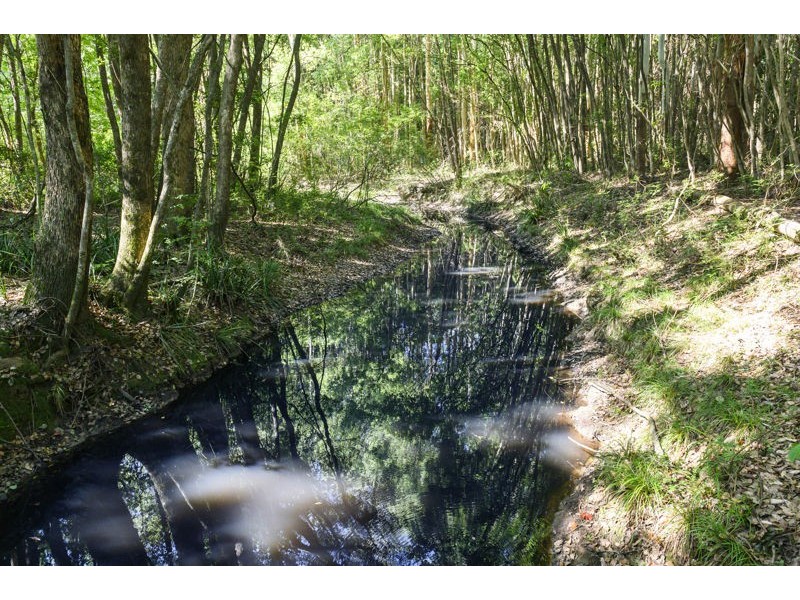 555 Hydes Creek Road, Bellingen NSW 2454