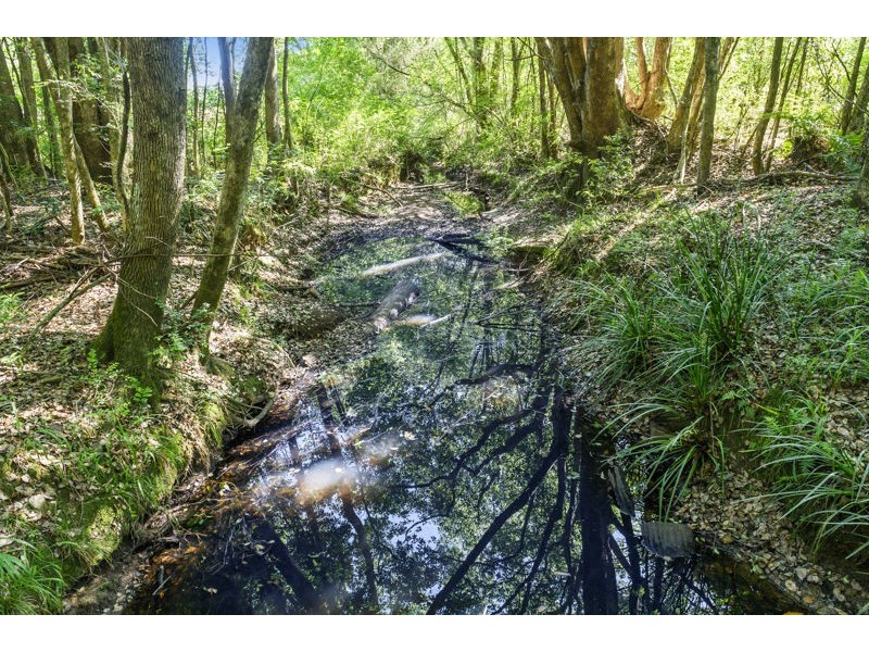 555 Hydes Creek Road, Bellingen NSW 2454