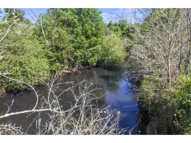 555 Hydes Creek Road, Bellingen NSW 2454