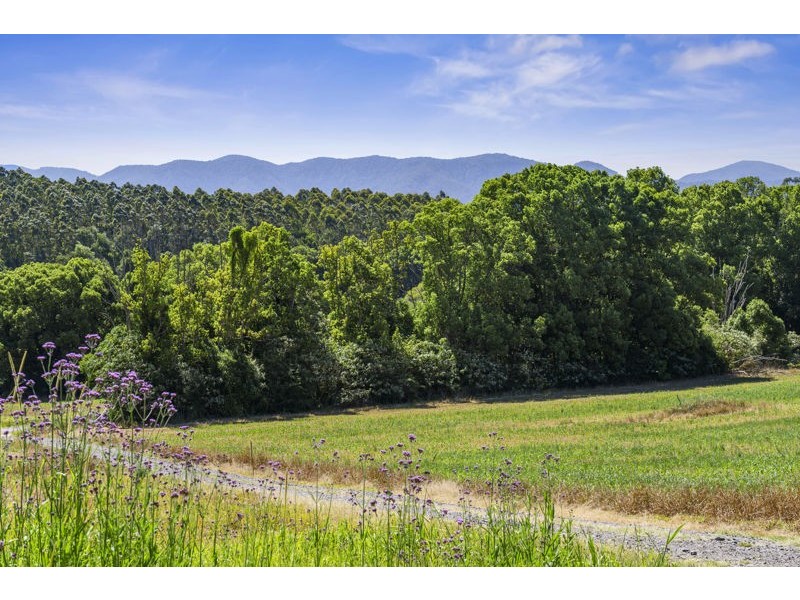 555 Hydes Creek Road, Bellingen NSW 2454