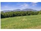 555 Hydes Creek Road, Bellingen NSW 2454