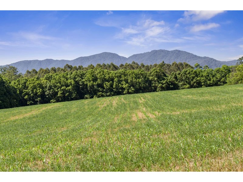 555 Hydes Creek Road, Bellingen NSW 2454