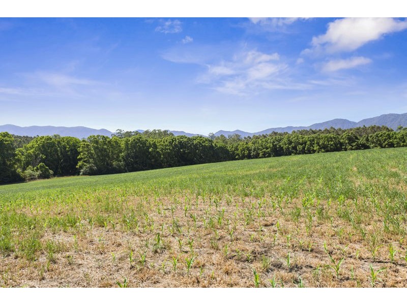 555 Hydes Creek Road, Bellingen NSW 2454