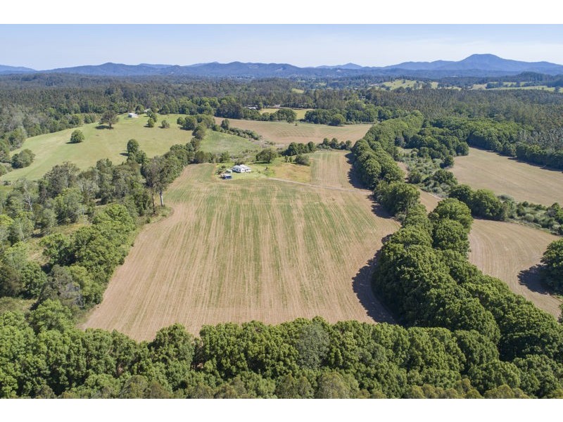 555 Hydes Creek Road, Bellingen NSW 2454