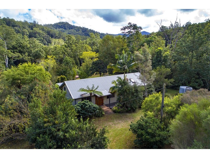 2260 Kalang Road, Bellingen NSW 2454