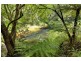 2260 Kalang Road, Bellingen NSW 2454