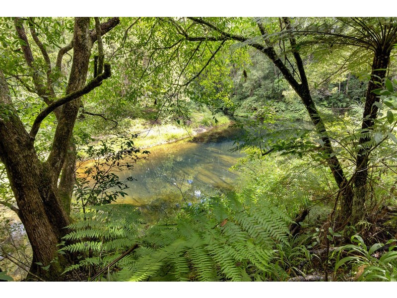 2260 Kalang Road, Bellingen NSW 2454