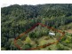 2260 Kalang Road, Bellingen NSW 2454