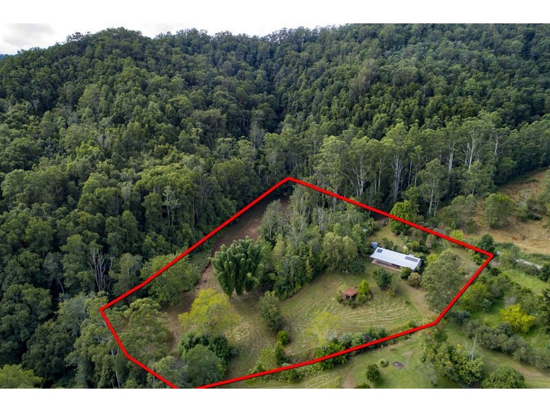 2260 Kalang Road, Bellingen NSW 2454