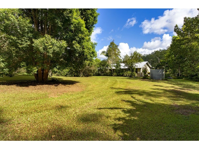 2260 Kalang Road, Bellingen NSW 2454