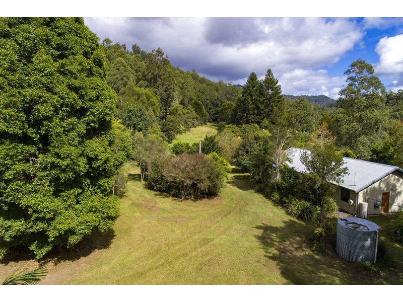 2260 Kalang Road, Bellingen NSW 2454