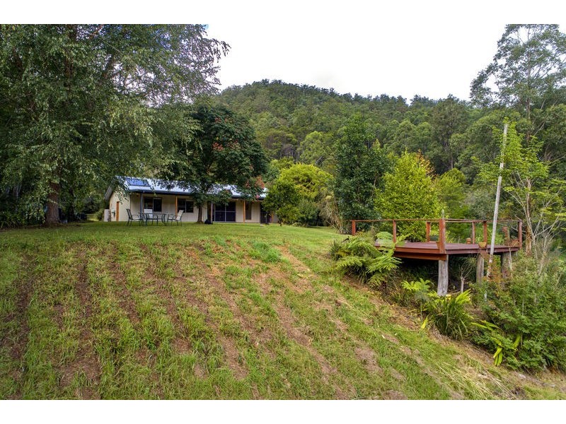 2260 Kalang Road, Bellingen NSW 2454