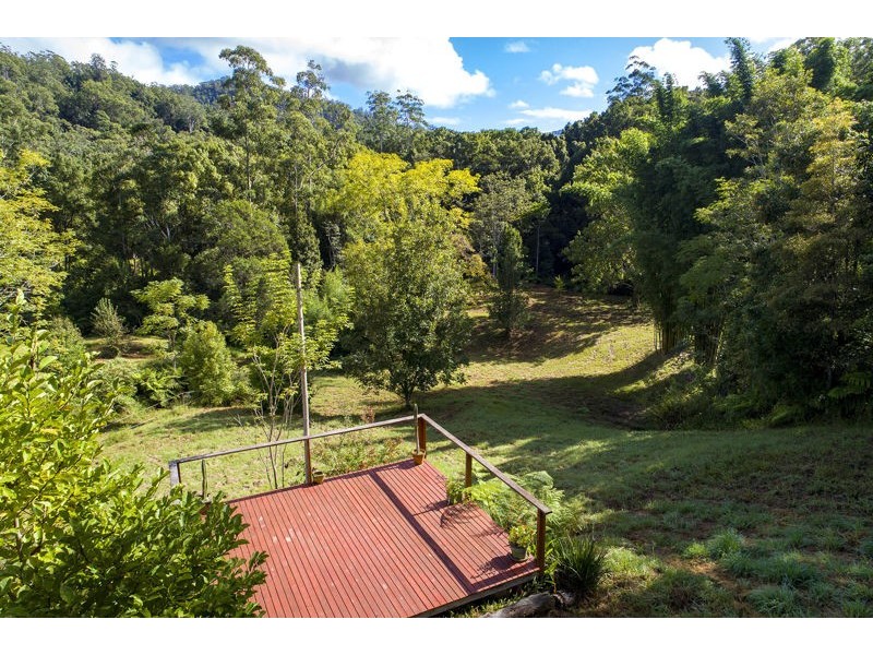 2260 Kalang Road, Bellingen NSW 2454