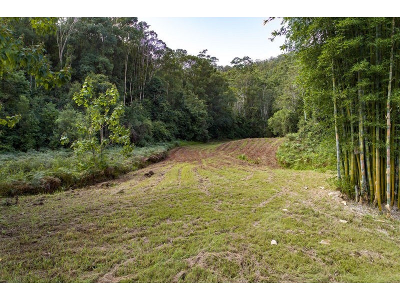 2260 Kalang Road, Bellingen NSW 2454