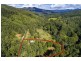 2260 Kalang Road, Bellingen NSW 2454