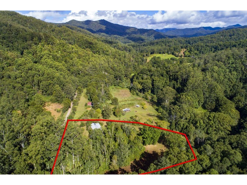 2260 Kalang Road, Bellingen NSW 2454