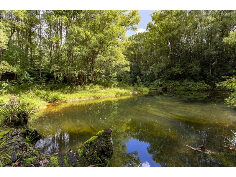 2260 Kalang Road, Bellingen NSW 2454