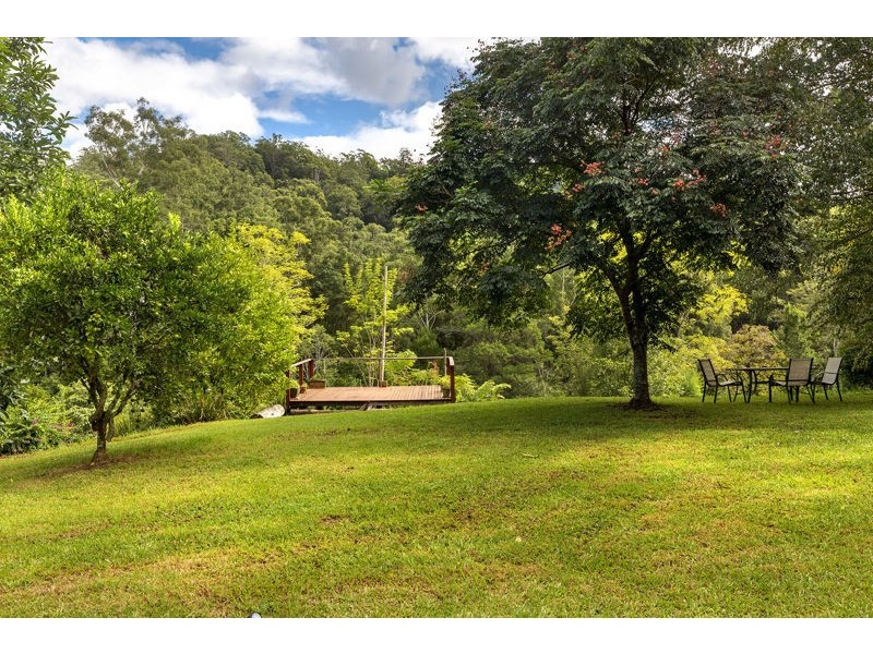 2260 Kalang Road, Bellingen NSW 2454