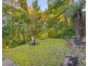 5 Lyon Street, Bellingen NSW 2454