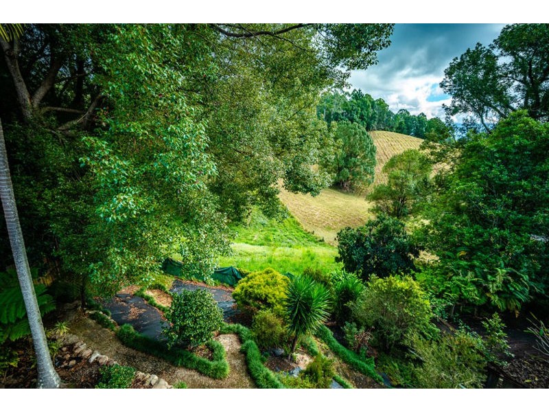 46 Robert Street, Bellingen NSW 2454