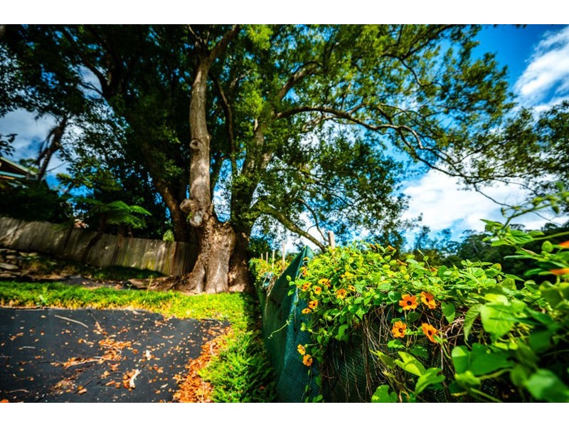 46 Robert Street, Bellingen NSW 2454