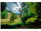 46 Robert Street, Bellingen NSW 2454