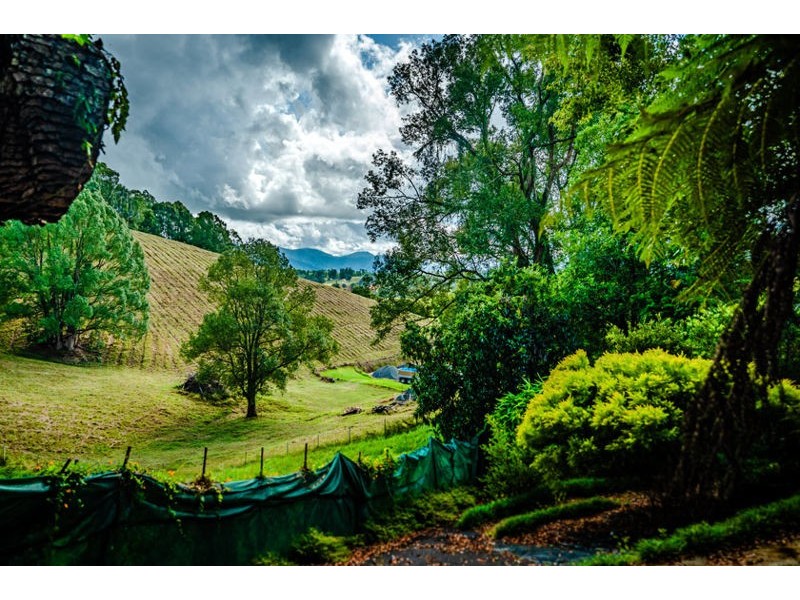 46 Robert Street, Bellingen NSW 2454