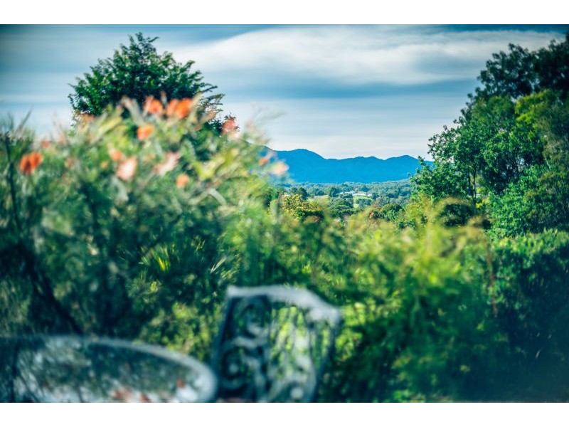 16 Endeavour Drive, Bellingen NSW 2454