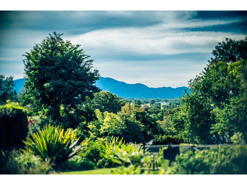 16 Endeavour Drive, Bellingen NSW 2454