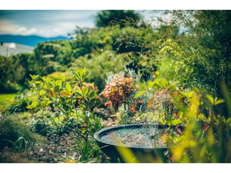 16 Endeavour Drive, Bellingen NSW 2454